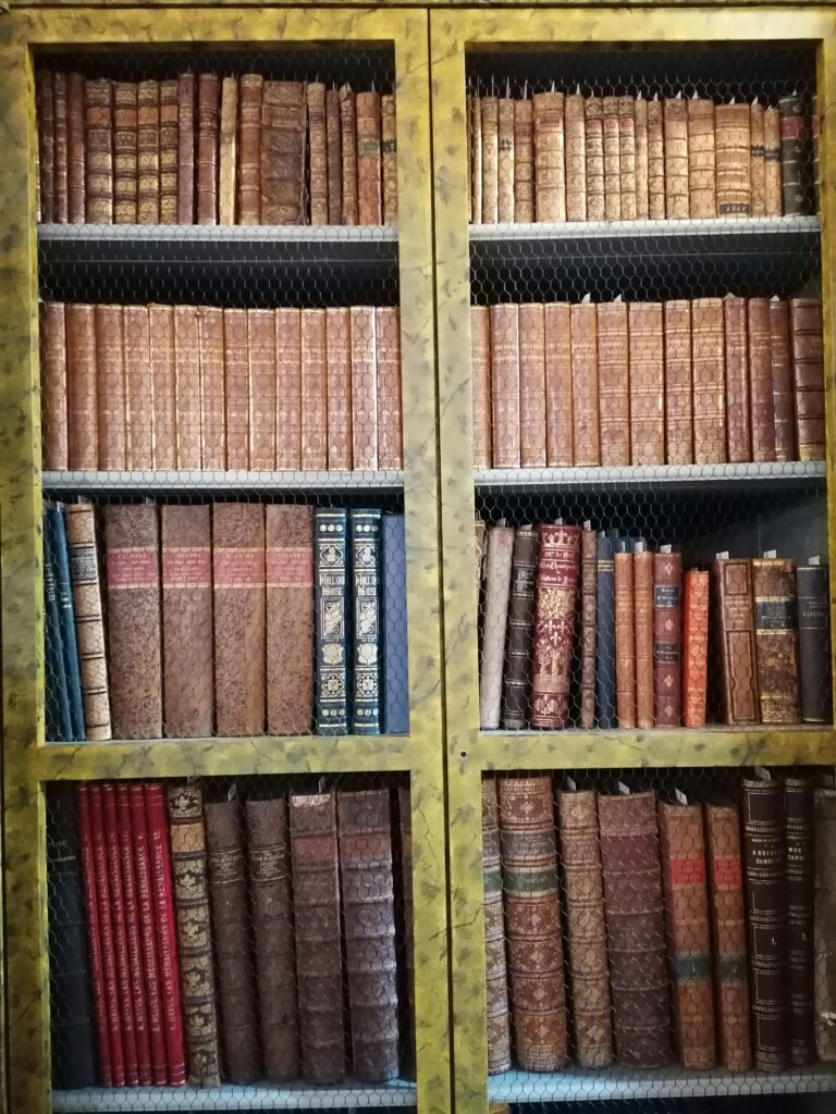 A vintage-style bookshelf filled with leather-bound books – symbolic illustration of my personal book collection