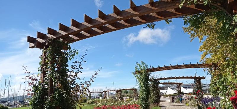 Decorative arcade row designed for flowers. Approximately 20 pieces in a row. The photo was taken standing under one of them. It is 6-7 meters wide and decorated with trees standing crosswise at the top. Plants grow up the sides.