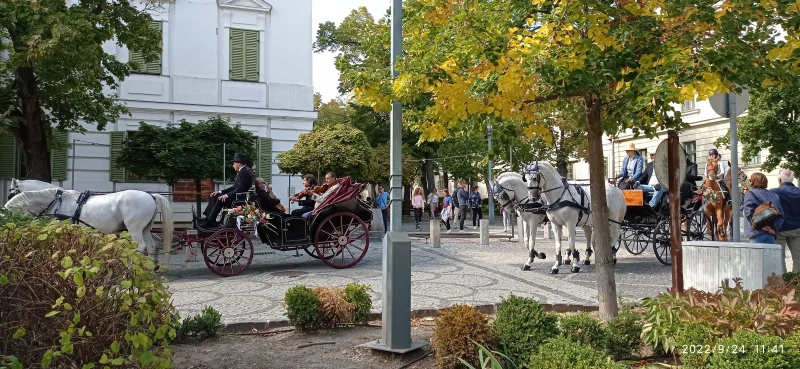 Az utcán elegáns régi hintók. Minegyik elé 2 fehér ló van kötve. Elegáns régi ruhába öltözve ülnek az emberek a hintóban. Mások az utca jobb szélén nézik őket.