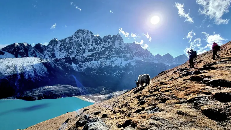 Two people on a high mountain. Further away from them is a yak. High white mountains in the background. In front of them is a greenish-blue lake. The sun is shining brightly.