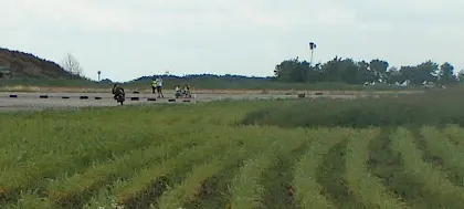 Veterán motorverseny .Balra a távolban három motoros halad a kanyar felé. Előtérben zöld terep. Távolban jobbra fák. Bal oldalon domb látható