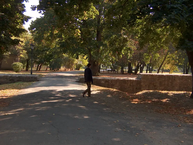 Fák alatt kanyargó sétaút a sárospataki vár parkjában, sétáló emberrel.