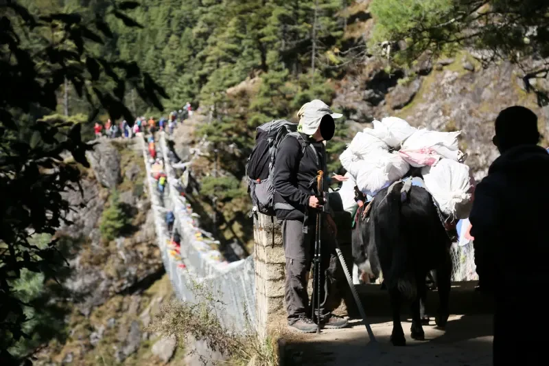 The picture shows a long mountain path with a white safety barrier on the right. On the left is a high rock face. In the foreground is the rear end of a pack animal, probably a donkey. The load to be transported is piled high on its back. Next to it are two people, also carrying heavy loads. In the distance, there are many people walking along the path.