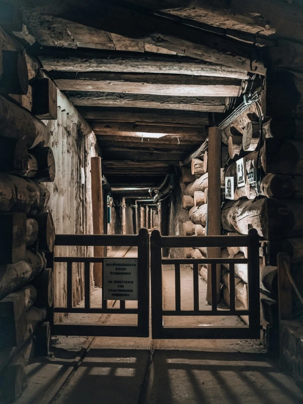 The entrance to a mine. In the foreground, a low iron gate that opens in two directions. Behind it, a long corridor with wooden beams on the ceiling and wooden pillars on the sides. Dim lighting.