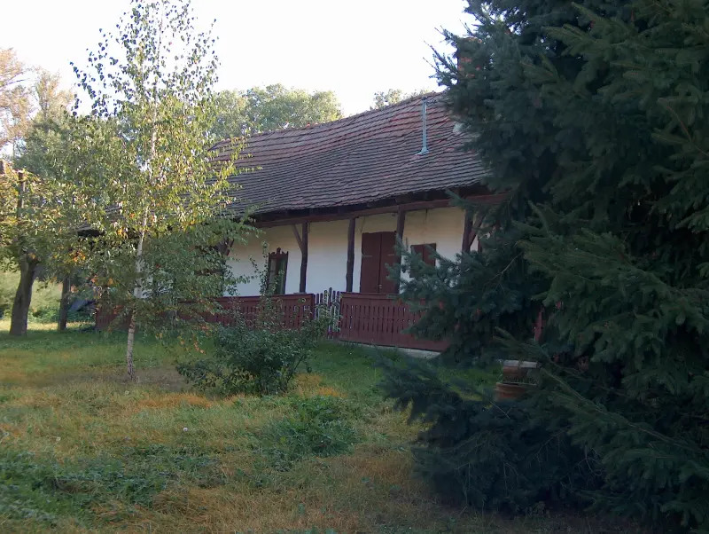 White-walled porch house with red wooden columns, surrounded by pine and birch trees.”