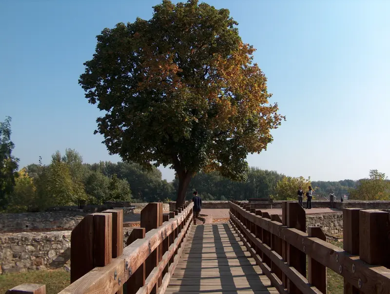 The castle’s wooden bridge leading to the outer walls, with a large tree in the background.