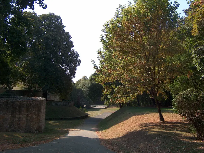Curved walkway in Sárospatak Castle park, lined with shady trees in autumn colors.